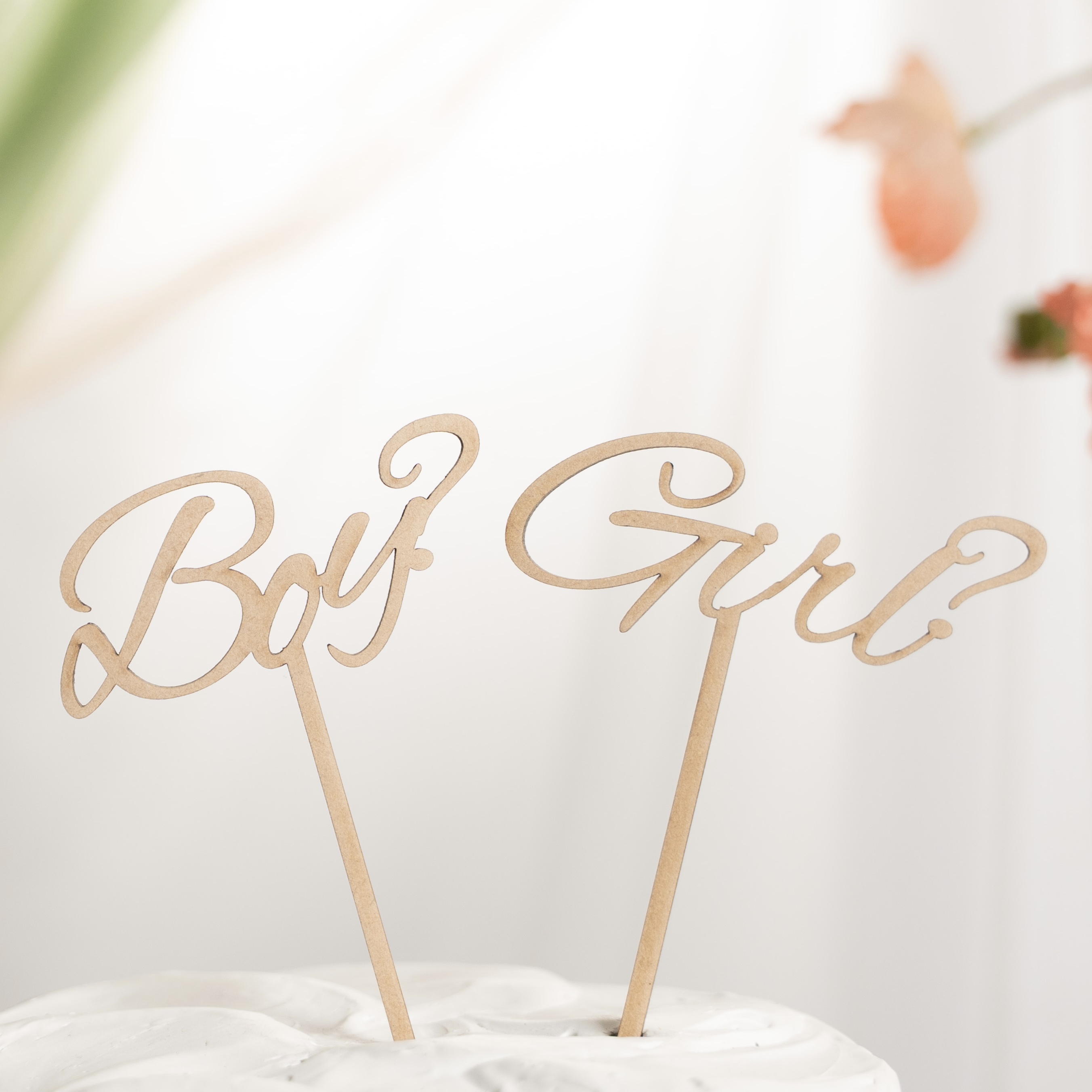 「Boy?」「Girl?」の木製ケーキトッパーをホワイトケーキに挿した写真。ピンクの花を添えたやさしい雰囲気