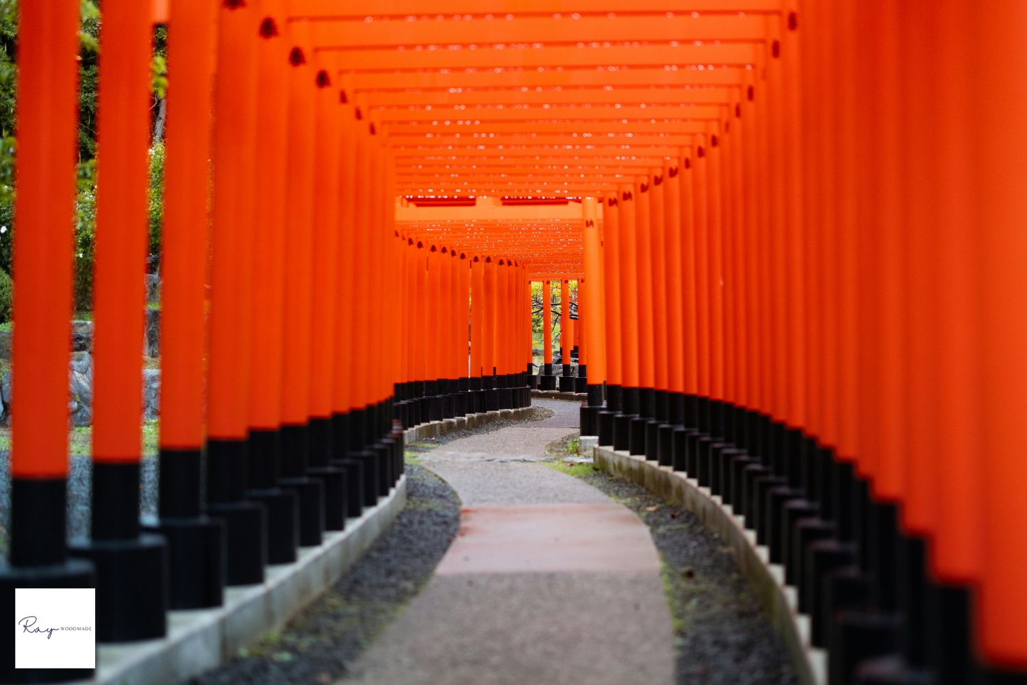 朱色の鳥居が並ぶ神社の参道。出張撮影なら参拝先の神社の雰囲気ごと写真に残せる